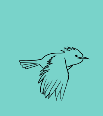 bird
